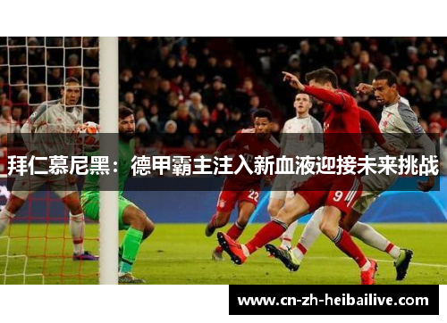 拜仁慕尼黑:德甲霸主注入新血液迎接未来挑战 拜仁慕尼黑:德甲霸主注入新血液迎接未来挑战