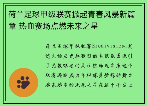 荷兰足球甲级联赛掀起青春风暴新篇章 热血赛场点燃未来之星